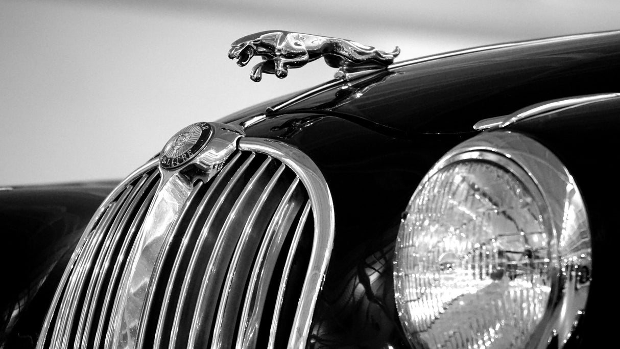 Jaguar