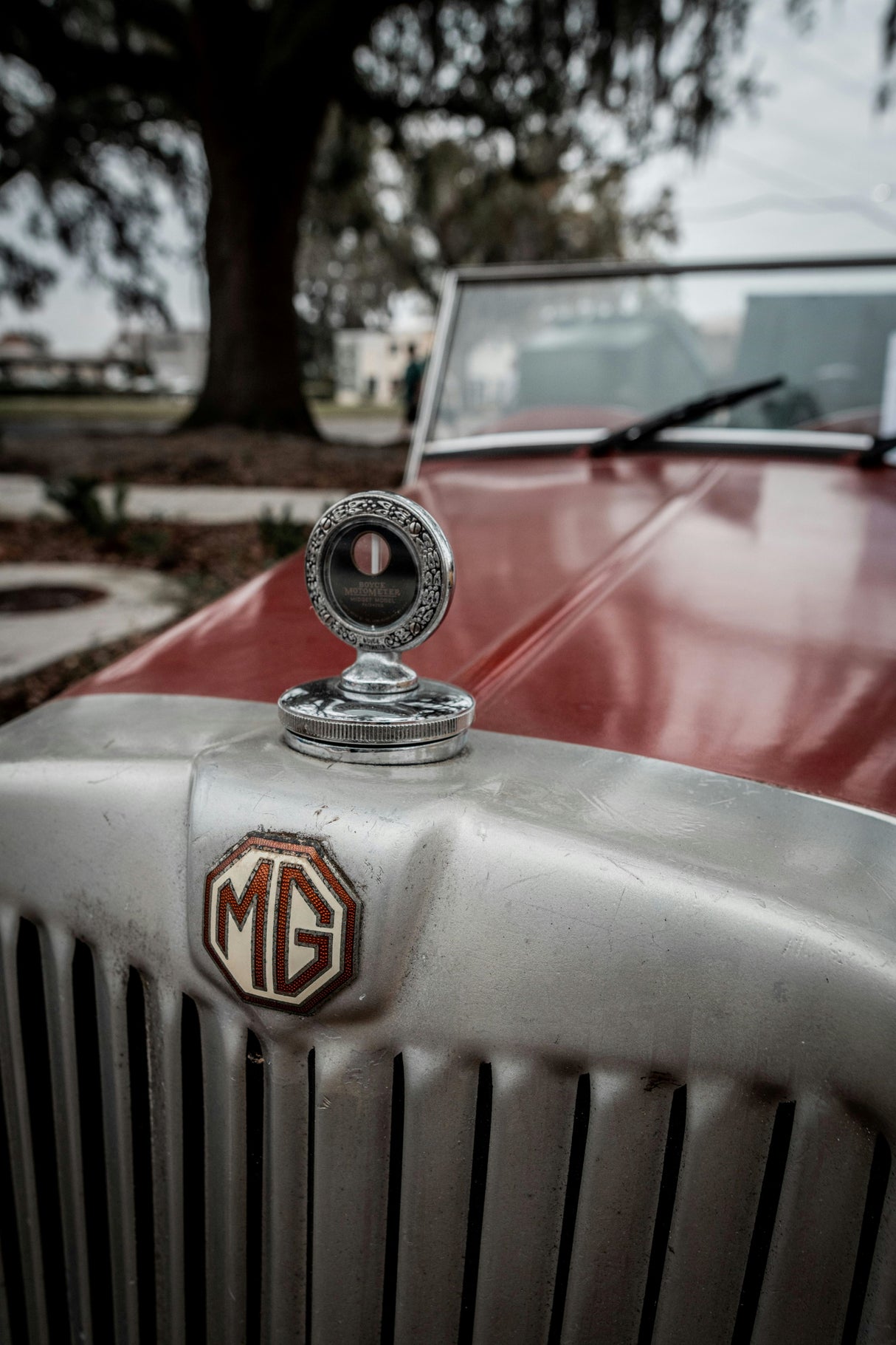 MG