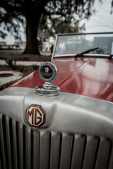 MG
